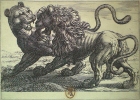 Lion et panthère